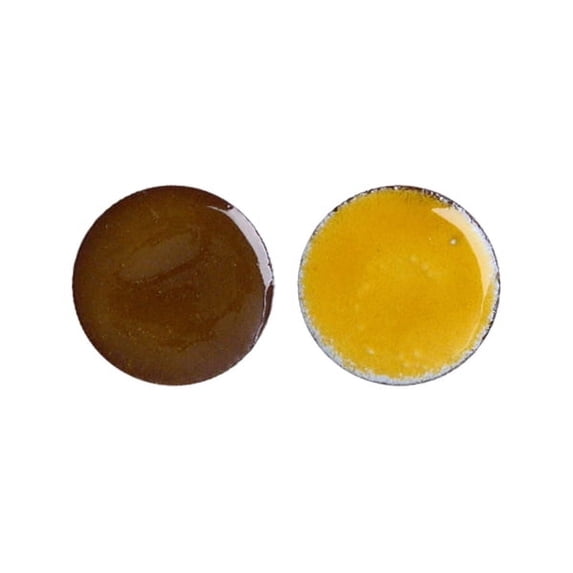 2215 Egg Yellow Thompson Transparent Enamel 2 Ounce