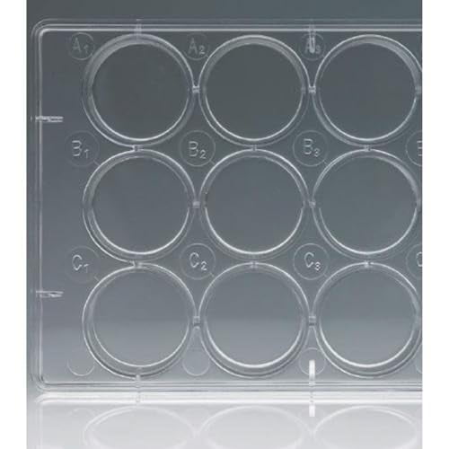 229106 6 Well Tissue Culture Plate with Lid, Sterile, 9.60cm2 Cell ...