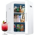 22L Mini Fridge with Temperature Control, Compact Skincare Fridge Rapid