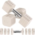 thumbnail image 1 of 22LBS Adjustable Dumbbells Set, Adjustable Weight Dumbbells with 4 Levels 4.4lb, 6.6lb, 8.8lb, 11lb, Hand Weights Sets for Women/Men Home Gym Full Body Workout, 1 of 6