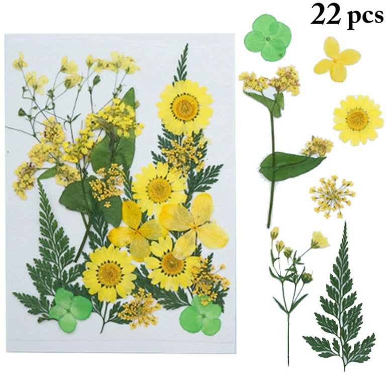 18PCS DIY Dried Flowers Lightweight Dried Sunflowers Pressed Flowers for  Craft 