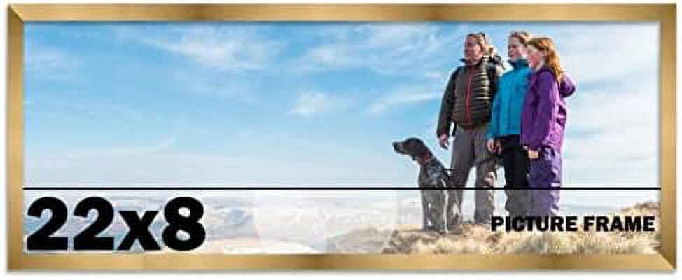 22X8 Frame Bronze Picture Frame - Modern Photo Frame Includes UV Guard ...