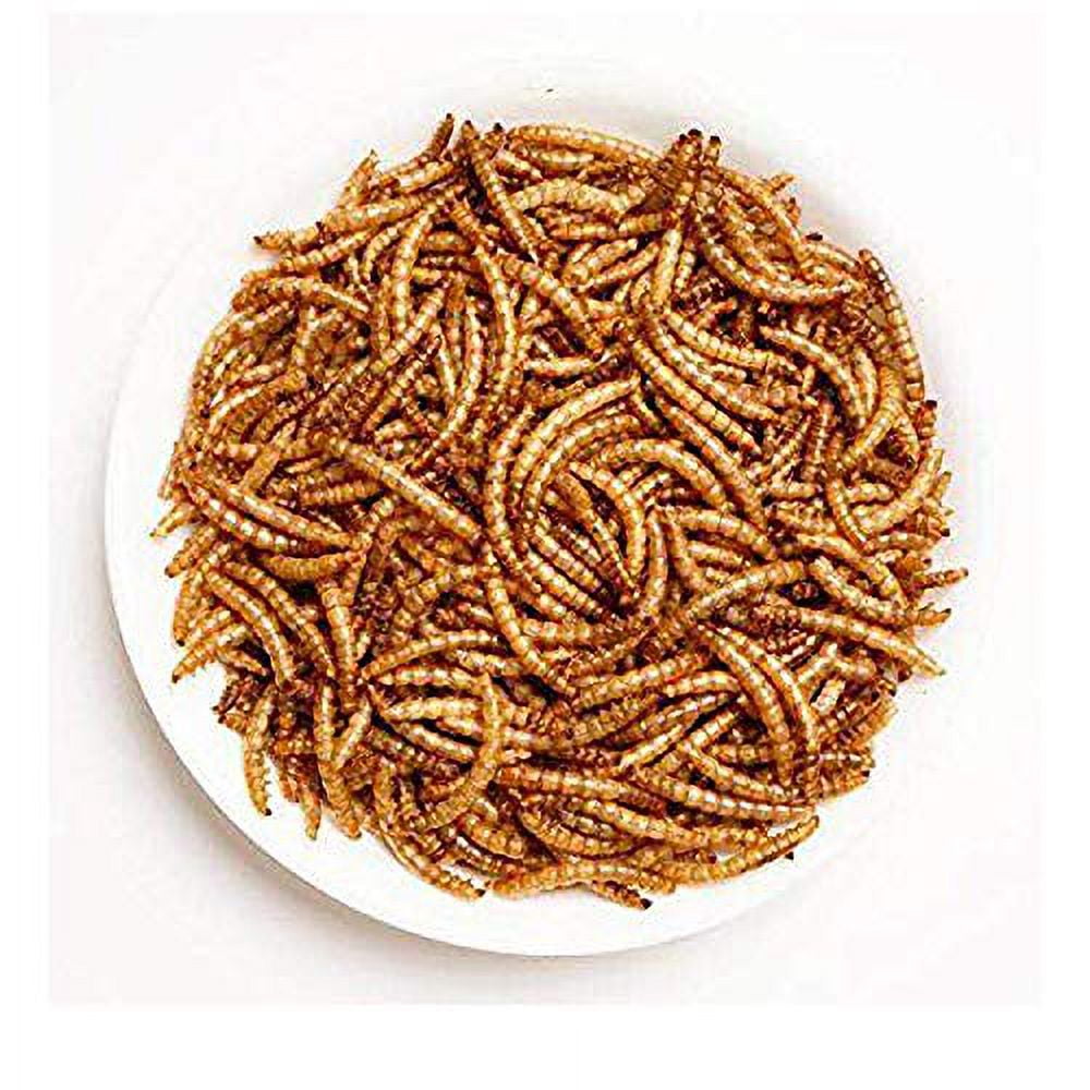 22lbs 100 Non GMO Dried Mealworms High Protein Meal Worm Treats Perfect for Your Chickens Ducks Wild Birds Turtles Hamsters Fish Walmart