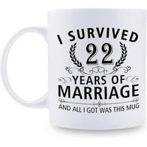22nd Wedding Anniversary Mugs for Couple Husband Wife - I Survived 22 Years of Marriage and All I Got Was This Mug - 22 Year Anniversary 11 oz Coffee Mug for Him Her