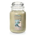 thumbnail image 1 of Yankee Candle Sage & Citrus Scented Jar  22oz, 1 of 5