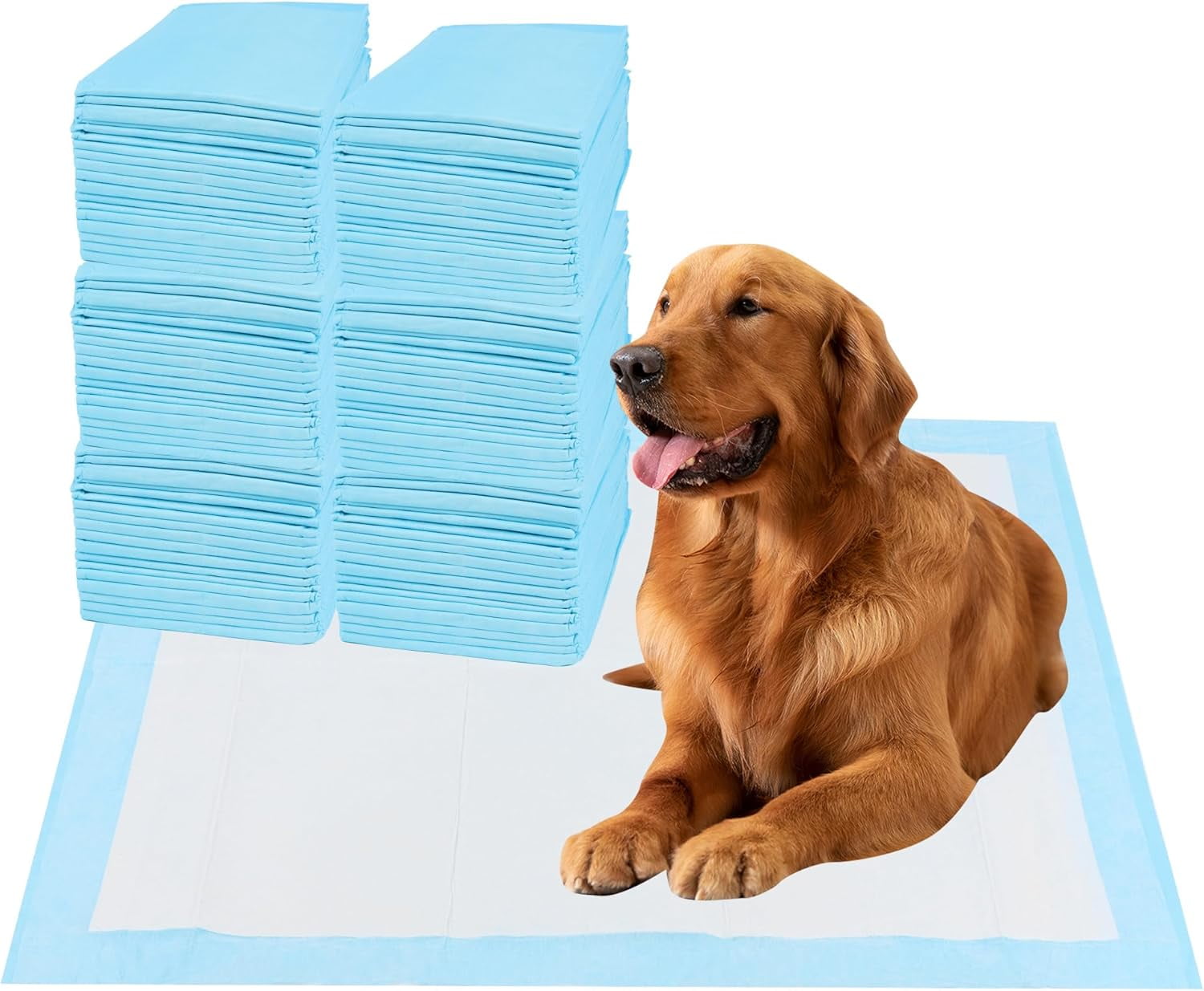 22x22 Dog Training Pads 50 Count Dog and Puppy Pee Pads for Dog Playpen with LeakProof Dog Pee