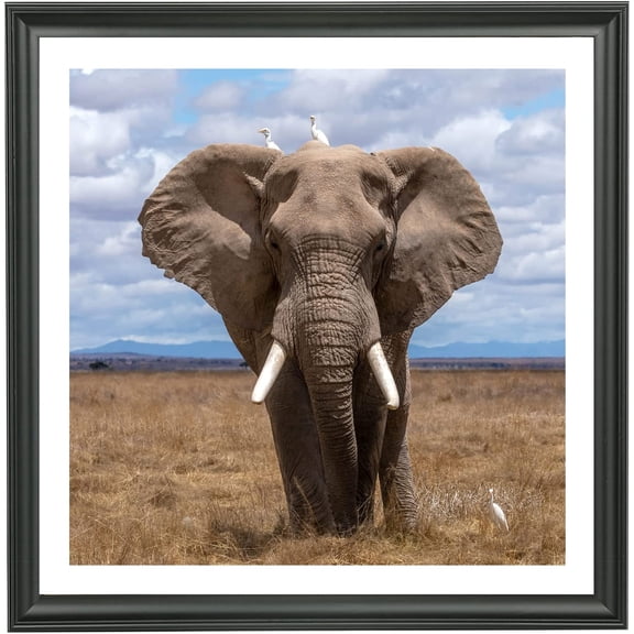 22x22 Picture Frame Solid Wood,Displays Picture 20x20 with Mat or 22x22 Inch without Mat, Poster Frame 22x22 Photo Frames 20x20 Diamond Painting Frame Black (LMKB2222)
