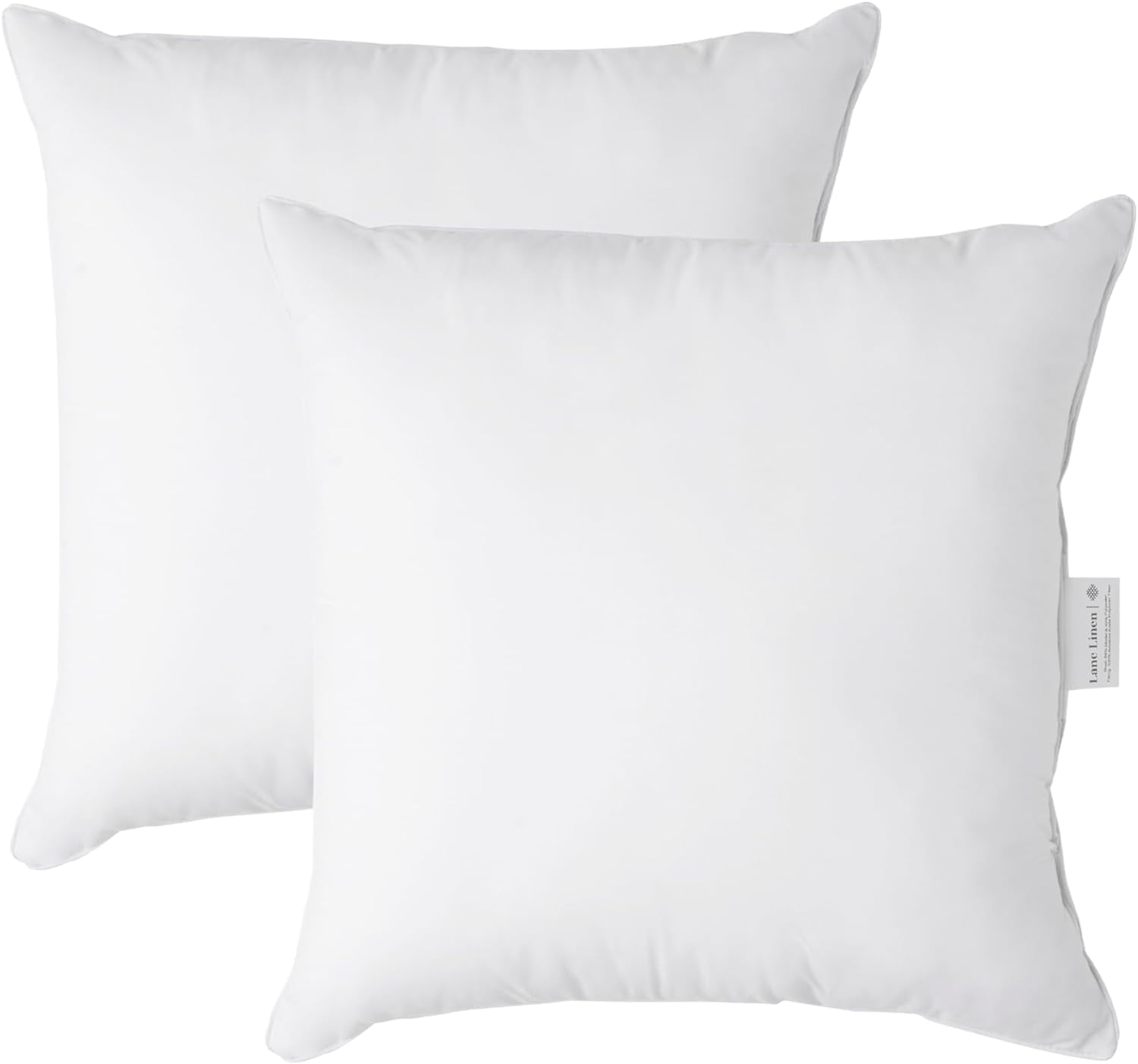 22x22 White Polyester Fiber Throw Pillow Inserts, Pack of 2