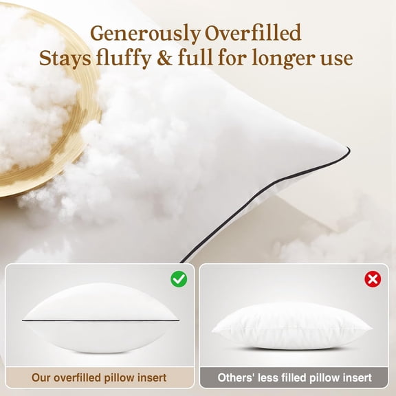 ® 22x22 Pillow Inserts Set of 2, Full Fluffy Down Alternative Decorative Pillows, Soft Plush Throw Pillows for Couch, Sofa, Bed and Home Decor