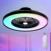 Cusp Barn 23.4 Modern Color Changable LED Ceiling Fan, RGB Ceiling Fan