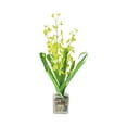 thumbnail image 1 of 23.5" Potted Artificial Yellow Dancing Lady Orchid Silk Flower Plant, 1 of 2