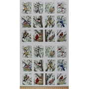 23.5" X 44" Panel Beautiful Birds Bird Nesting Bird-watching Nests Cotton Fabric Panel (4309-CREAM-PANEL)