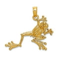 thumbnail image 1 of 23.6mm 10k Solid Yellow Gold 2-d Textured Frog Charm Pendant Necklace for Women - 1.1 Grams, 1 of 2
