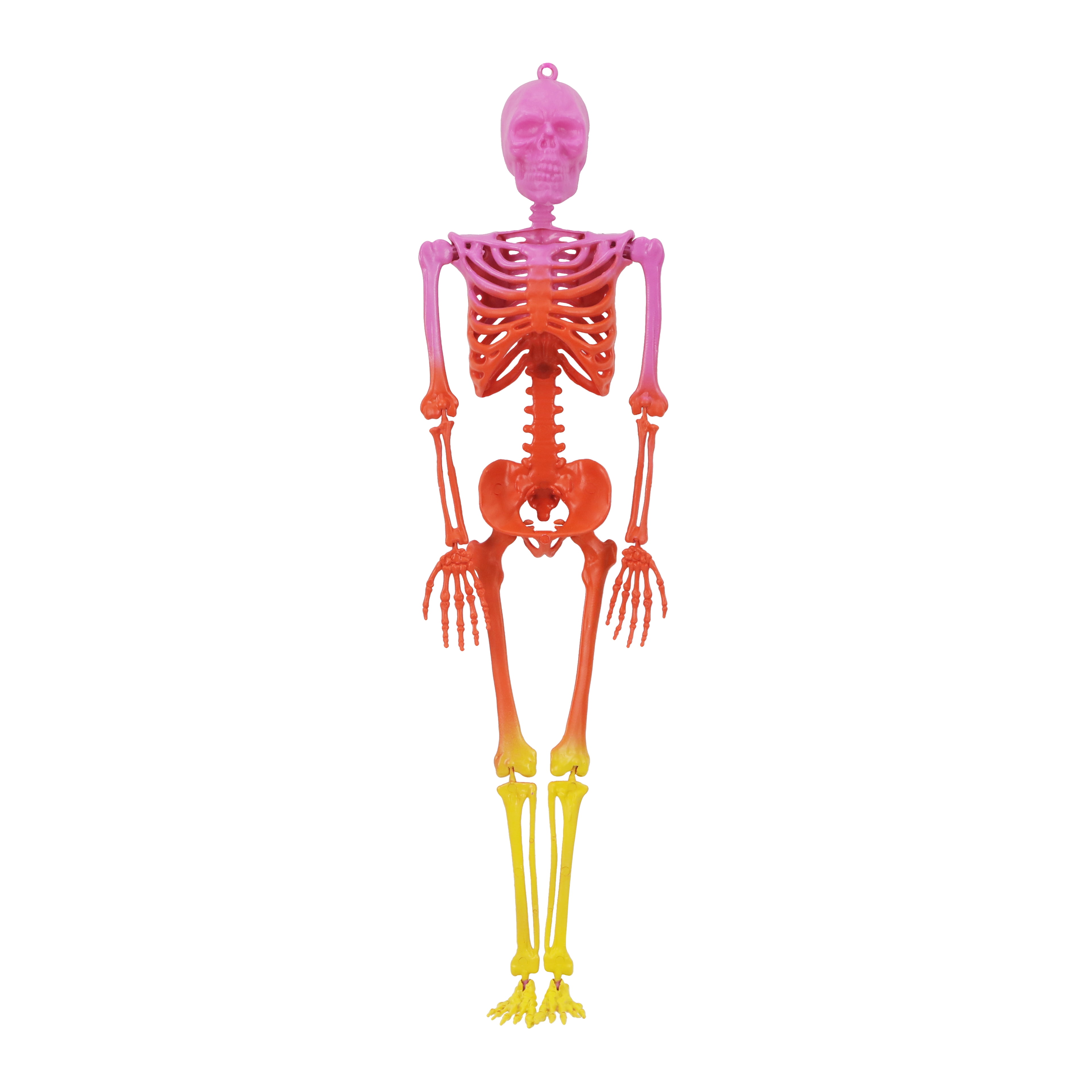 23" Bright Ombre Skeleton Wall Décor by Ashland®Halloween Decorations
