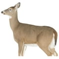 23 Dreamy Doe Whitetail Decoy, Brown