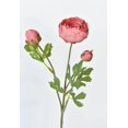 thumbnail image 1 of 23" Faux Coral Real Touch Ranunculus Stem, 1 of 5
