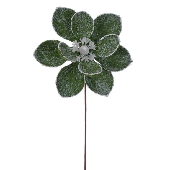 23" Green Magnolia Stem 3/Bag