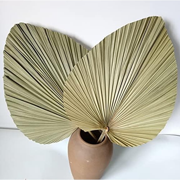 23" H x 15" W Giant Tropical Dried Palm Leaves, Large Palm Fan Leaves for Wedding Home Decor, Set of 2$$Home Decor, Kitchen, & Other