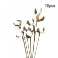 thumbnail image 1 of 23 Inches Natural White Cotton Stem Flowers Cotton Boll Branches Farmhouse Rustic Style Vase Display Filler Floral Wedding Centerpiece Decorations, 1 of 11