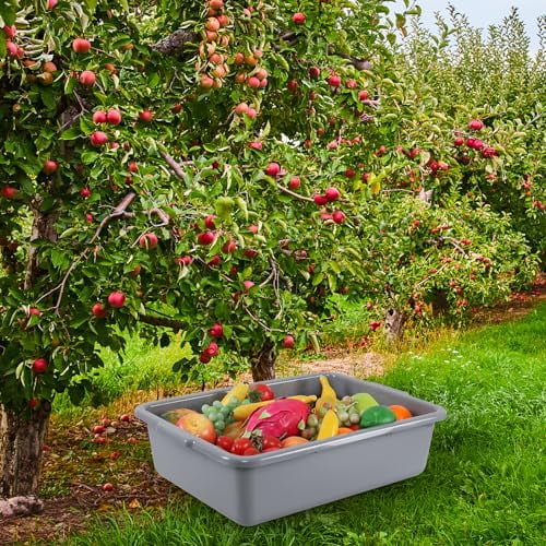 23 L Large Commercial Bus Tub, Restaurant Plastic Bus Box, Gray, 4 Packs