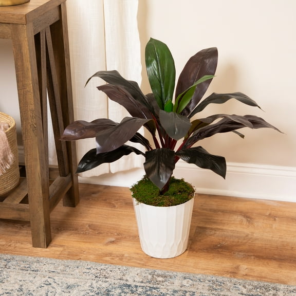 Northlight Real Touch Red and Green Artificial Dracaena Potted Plant - 23"