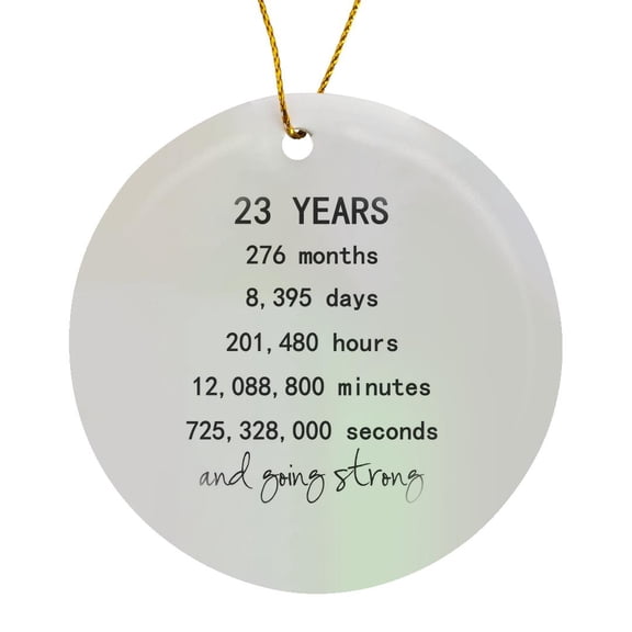 3drose, 23 Years in Months Days Hours Minutes Seconds Anniversary Going Strong, Circle Porcelain Ornament