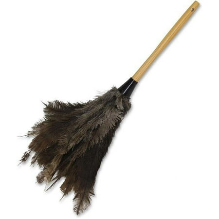 23 in. Economy Ostrich Feather Duster - Brown, Graphite