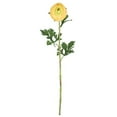 thumbnail image 1 of 23 in. Yellow Ranunculus Stem, 1 of 1