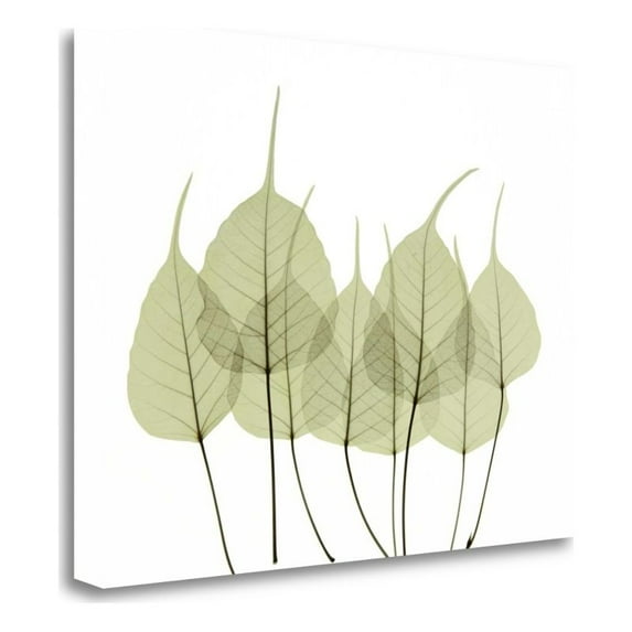 23" x 18" Woodlands I by Acee - Print On Gallery Wrap Canvas Fabric Multi-Color