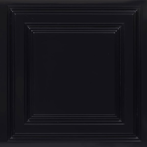 232-Economy 2 ft. x 2 ft. PVC Lay-in Ceiling Tile in Black Glossy (40 Sq.ft / Pack) - 10 Pieces