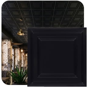 232-Economy 2 ft. x 2 ft. PVC Lay-in Ceiling Tile in Black Glossy (40 Sq.ft / Pack) - 10 Pieces
