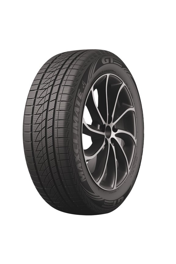 MaxClimate All Weather 235/65R17 104H Passenger Tire