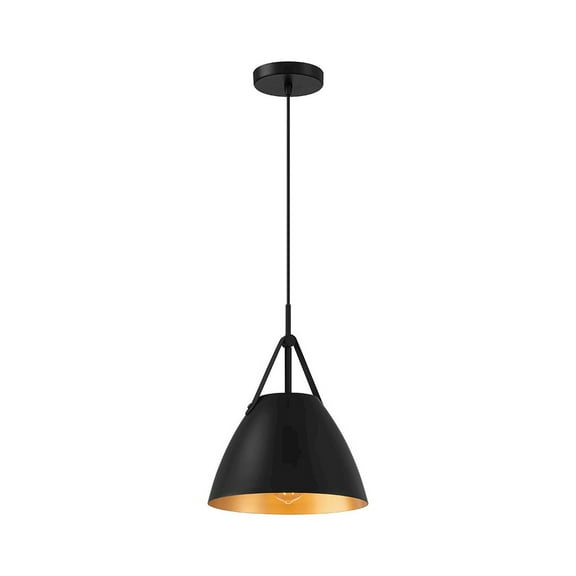 Access Lighting 1 Light Pendant in Matte Black Color