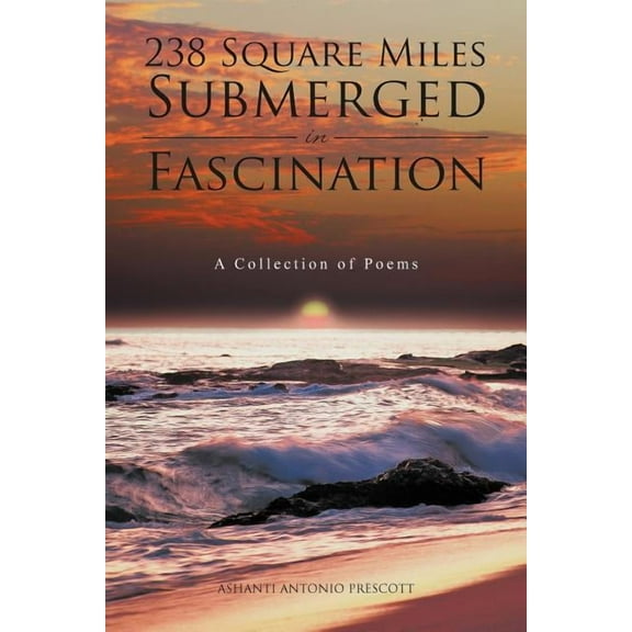 238 Square Miles Submerged in Fascination: A Collection of Poems (Paperback)
