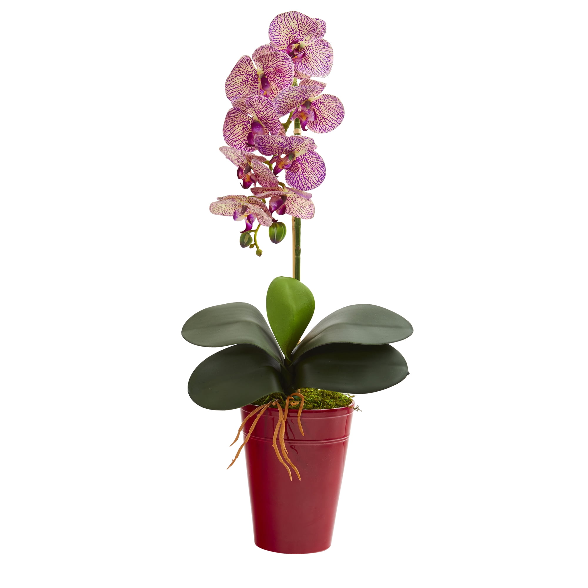 23in. Phalaenopsis Orchid Artificial Arrangement in Vase