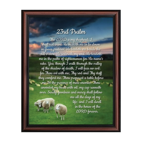 23rd Psalm, Framed Bible Verse from Psalms, Comfort and Encouragement for the Hurting, 11x14, 2110