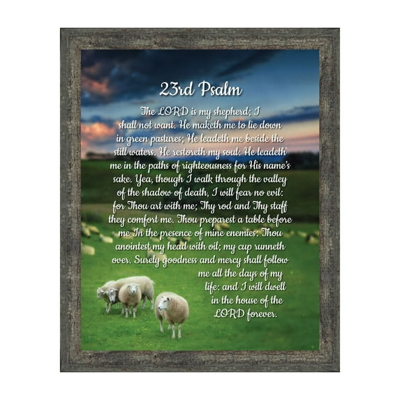 23rd Psalm, Framed Bible Verse from Psalms, Comfort and Encouragement for the Hurting, 11x14, 2110