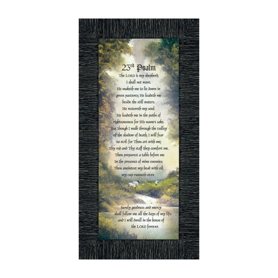 23rd Psalm, Framed Bible Verse from Psalms, Comfort and Encouragement for the Hurting 4x10, 7731
