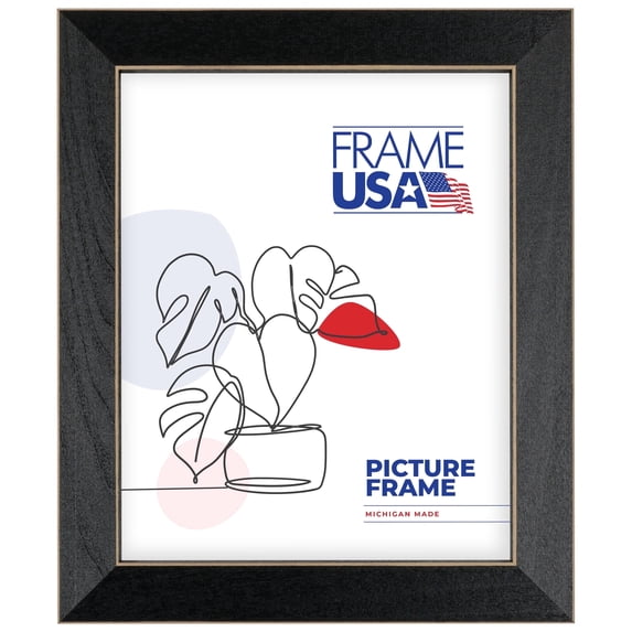 23x35 Picture Frame – Black Clean Cut Style 71206-003, 1.25 Inch Wood Moulding, Includes Plexiglass and Backing, Wall Display Frame for Art, Posters, or Photos – Frame USA