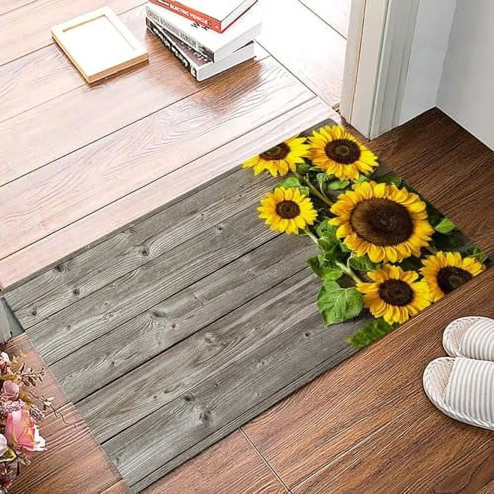 24*16inches Welcome Doormat, Geometric Entrance Mat Floor Mat Rug for ...
