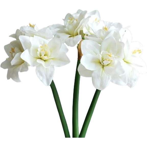 24.4'' Real Touch Artificial Amaryllis Flowers Stem 3pcs Faux Lily Bouquet Large Tropical Flowers Fake Plant for Home Office Vase Arrangements