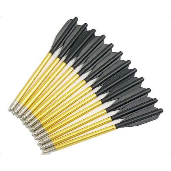 24 ALUMINUM ARROWS BOLTS FOR 50lb 80 LB PISTOL CROSSBOW