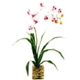 thumbnail image 1 of 24" Artificial Phalaenopsis Orchid in a Clear Glass Cube with River Rocks and Acrylic Water, 1 of 1