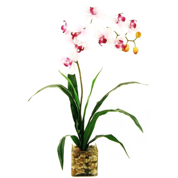 24" Artificial Phalaenopsis Orchid in a Clear Glass Cube with River Rocks and Acrylic Water