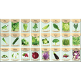 thumbnail image 1 of 24 Assorted Vegetable & Herb Seed Packets – Garden Starter Variety Pack (Lettuce, Cucumber, Broccoli & More), 1 of 8