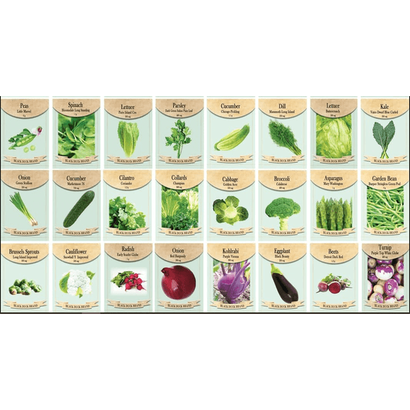 24 Assorted Vegetable & Herb Seed Packets Garden Starter Variety Pack (Lettuce, Cucumber, Broccoli & More)