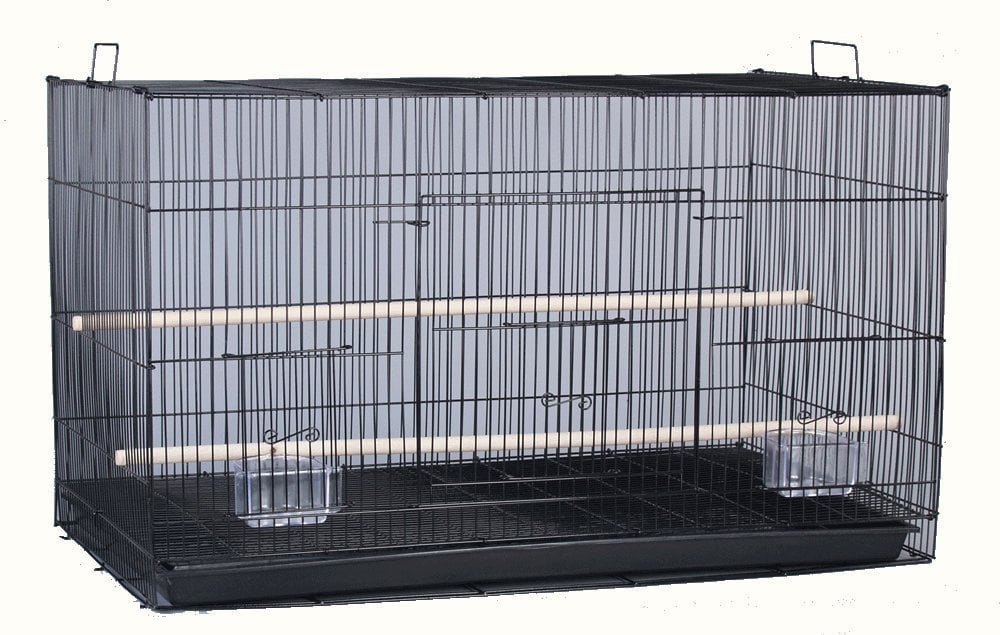 Lot of 6 Aviary Breeding Bird Finch Parakeet Finch Nepal | Ubuy