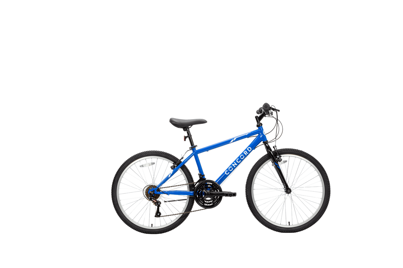24 BIKE BLUE