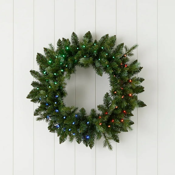 24" Bluffton Prelit Wreath w/ 54 Function RGBW LED lights - by Seasonal LLC