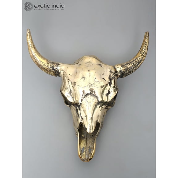 24" Brass Buffalo Skull | Wall Hanging | Home Decor